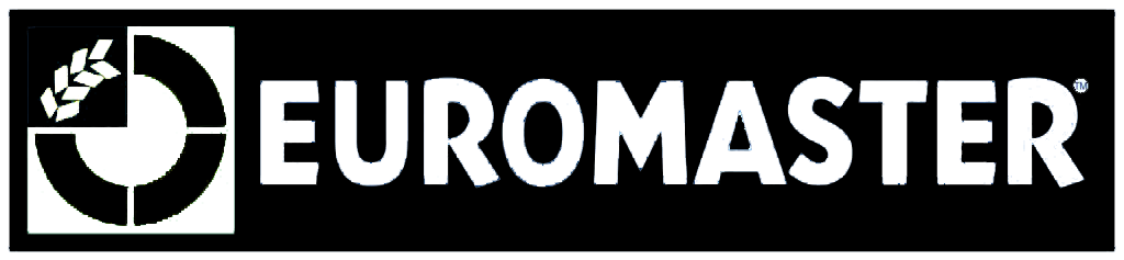 Euromaster Case Study - Micropole Data Cloud Digital Consulting