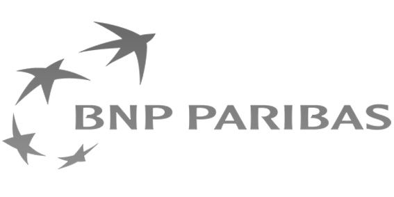 BNP PARIBAS Case Study - Micropole Data Cloud Digital consultancy