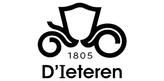 D'IETEREN Customer Case Study - Micropole Data Cloud Digital Consultancy