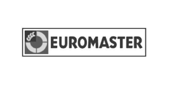 EUROMASTER Customer Case Study - Micropole Data Cloud Digital Consultancy