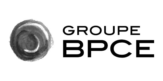 GROUPE BPCE Cas Client - Micropole Cabinet de conseil Data Cloud Digital