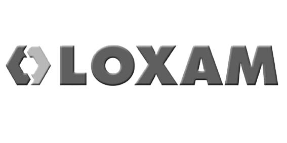 LOXAM Case Study - Micropole  Data Cloud Digital Consultancy