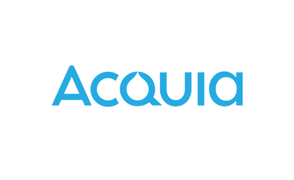 Data cloud and digital transformation consultancy - Acquia Micropole partner