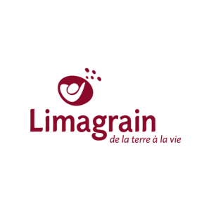 LOGO - 2024-11-26T103819.894 (1)