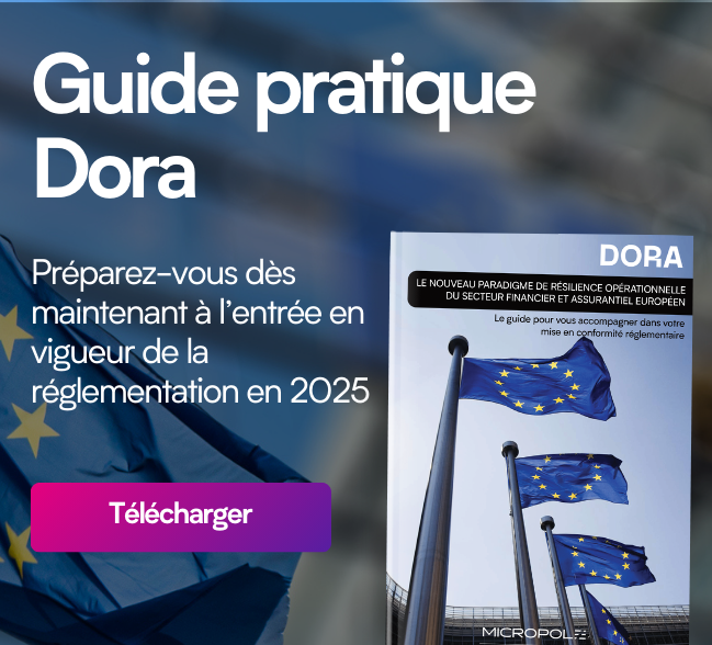 dora regulations download micropole's practical guide