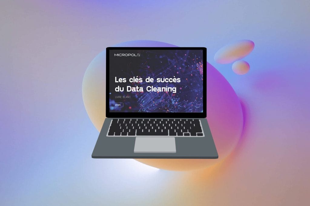 livre blanc data cleaning micropole