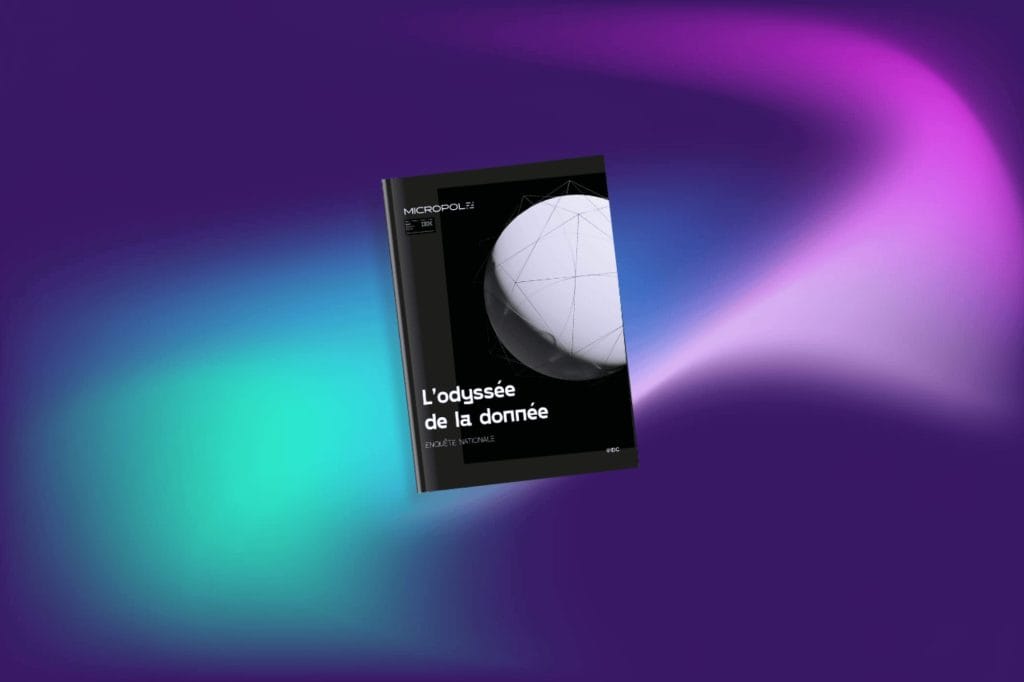 Livre blanc odyssée de la donnée micropole